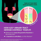 AZO Urinary Tract Defense Antibacterial Protection Helps Control a UTI Until You Can See a Doctor #1 Most Trusted Urinary Health Brand 48 Tablets