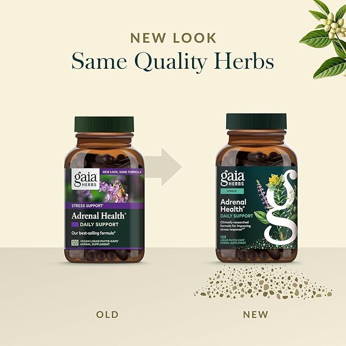 Gaia Herbs Adrenal Health Daily Support - Herbal Supplement with Ashwagandha, Holy Basil & Schisandra - Help Maintain Healthy Energy & Stress Levels* - 120 Vegan Liquid Phyto-Caps (60 Servings)