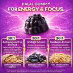 Shilajit Gummies for Energy & Focus – Ashwagandha, Beet Root, Lion’s Mane, Sea Moss & Black Seed – Vegan, Halal-Certified Adaptogen Supplement for Daily Performance & Calm – 60 Gummies