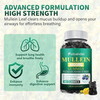 2 Packs 3000MG Organic Mullein Gummies for Lung, Mullein Leaf Extract for Lungs - Quercetin, Bromelain for Respiration，Immune and Digestive Support, 120 Count Blueberry Gummys