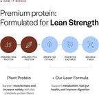 Gainful Lean Plant Protein Powder, 20g Plant Protein per Serving, Unflavored, Supports Lean Muscle, Metabolism, & Satiety, with Green Tea Extract, Digestive Enzymes, Organic Fiber, Vegan, 14 Servings