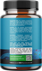 Nootropic Brain Supplement for Memory and Focus Support - Vitamins for Mental Support & Clarity with Bacopa Monnieri, VIT A, B6, Riboflavin, Niacin, Thiamin & Folate - Cognitive Complex - 90 Count