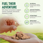 120 Chews Hip and Joint Supplement for Dogs - Glucosamine, Chondroitin & MSM,Dog Joint Supplement - Mobility, Flexibility & Cartilage Support - Bacon Flavor