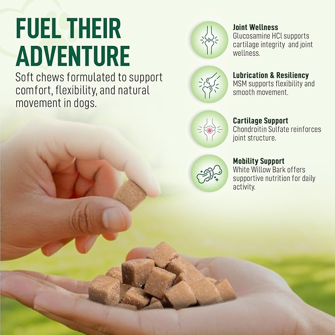 120 Chews Hip and Joint Supplement for Dogs - Glucosamine, Chondroitin & MSM,Dog Joint Supplement - Mobility, Flexibility & Cartilage Support - Bacon Flavor