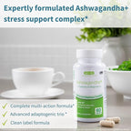 Igennus High Strength Ashwagandha, Magnesium, & L-Theanine Stress Relief Complex, KSM-66 Root Extract Adaptogens, Boosted with Methylfolate, Zinc & Biotin Clean Label, 60 Fast Acting Capsules