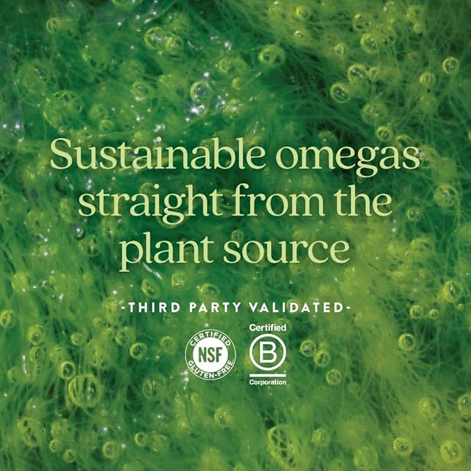 New Chapter Vegan Algae Oil, DHA, EPA, and DPA Supplement - Vegan Omega-3 Complex for Heart, Brain, Eye & Joint Support - 30 Softgels