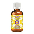 dève herbes Apricot Kernel Oil (Prunus armeniaca) | Cold Pressed | Pure | Natural | Undiluted | For Diluting Essential oils | For Skin & Massage | Non-Sticky | Lightweight | Men & Women | 30ml (1 oz)