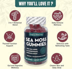 Premium Sea Moss Gummies, Irish Sea Moss Supplement with Bladderwrack and Burdock Root, Vegan Support Detox Gummies, Plant-Based Wellness, for Gut Health, Superfood 60ct