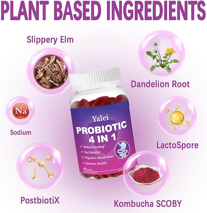 Probiotic Kombucha Gummies | Sugar Free | Probiotics Fiber Supplement for Women and Men | 1.6 Billion CFU Lactobacillus Plantarum & Slippery Elm for Bloating & Gut Health | Strawberry Flavor