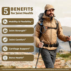 Joints Health Suppplement, Glucosamine Chondroitin MSM - Joint Support Supplement for Women and Men with Turmeric, MSM &Boswellia, for Cartilage, Joint Health and Flexibility - 120 Capsules