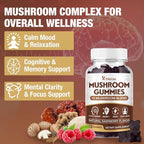 2 Pack Mushroom Gummies for Adults, 10 Blend Mushroom Supplement with Lions Mane, Cordyceps, Reishi, Chaga and Turkey Tail for Focus and Energy, Raspberry Flavor, 120 Count