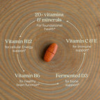 New Chapter Women’s Multivitamin 55+, Astaxanthin, B6, B12, D3, Vitamin C & Zinc, Immune, Heart, Cellular Energy, and Bone Support, Gentle on The Stomach, One Daily, Non-GMO, Gluten-Free, 96 Tablets