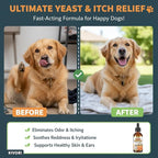 Kivori Yeast Infection Drops for Dogs - Natural Herbal Yeast Drops for Dog Ear, Paw & Skin Itch Relief - All Breeds Anti-Yeast Supplement - 2 fl oz (60ml)
