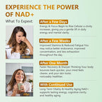 NAD Supplement 1500mg - Liposomal NAD+ Nicotinamide Riboside with Resveratrol, NAD Plus Boosting - Support Cellular Health, Stamina & Healthy Aging for Women & Men- Pack of 2