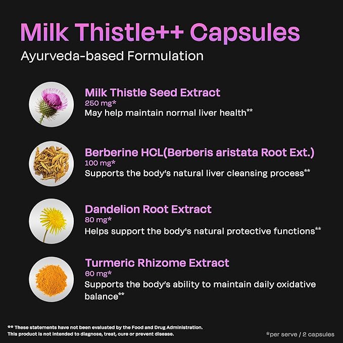 Auric Milk Thistle ++ 60 Capsules | Elite Formula | Daily Wellness Support | Veg Capsules | Gluten-Free | Additive-Free | Plant-Based| 500 mg Actives per Serve