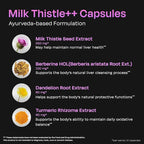 Auric Milk Thistle ++ 60 Capsules | Elite Formula | Daily Wellness Support | Veg Capsules | Gluten-Free | Additive-Free | Plant-Based| 500 mg Actives per Serve