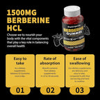 Nutravita Berberine Gummies with Ceylon Cinnamon 1500mg High Potency Berberine HCL Supplement for Immune and Metabolism Support, Sugar Free Organic Berberine Gummies Strawberry Flavor-2PACK