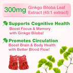 Ginkgo Biloba Gummies with Panax Ginseng and Magnesium, Ginkgo Biloba Supplements for Focus, Memory, and Brain Health for Adults & Kids, Vegan Raspberry Flavor Gummies, 60 Count