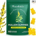 flasture Mullein Gummies for Lungs & Sinus Relief, 2000mg Mullein Leaf Extract, Natural Lung Cleanse Supplement for Smokers, Supports Respiratory, Immune & Mucus Relief – 60 Chewable Gummies