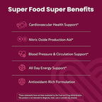 WellPath Beet Root Gummies (Sugar Free - Blueberry Flavor) 1500 mg | Beet Gummies for Blood Pressure Support | Super Nitric Oxide Gummies | Tasty Beets Chews | Antioxidants | 60 Ct