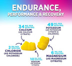Hydration Electrolyte Gummies - Daily Liquid Replenisher Gummy - Electrolyte Multiplier with Minerals, Potassium & Real Salt - Vegan, Non-GMO - Tasty Lemon Flavor Hydration Electrolytes - 60 Gummies