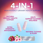 D-Mannose Supplement - 1,000mg D Mannose Per Serving with Cranberry, Hibiscus & Dandelion - Fast-Acting, Natural Urinary & Bladder Support for Women & Men – Flush & Cleanse Impurities – 120 Capsules