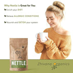 Nettle Tea Organic (100 Tea Bags) - Stinging Nettle Leaf TeaBags (Urtica Dioica) - Te de Ortiga Verde Organica - Support Digestion, Fluid Balance, Kidney, Skin, Hair