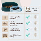 Natural Dog Company Gut Health & Canine Specific Probiotics Chews, 1 Daily Chew for All Dogs, Prebiotics & Digestive Enzymes for Digestion, Gas, Loose Stool, Immune System & Bowel Support