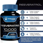 WELLNESS LABSRX Resveratrol 1000mg Capsules - 240 Count - Japanese Knotweed Extract Resveratrol - Pack of 2