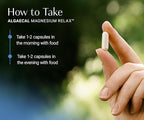 AlgaeCal Magnesium Relax™ - Chelated Magnesium with Ashwagandha for Sleep & Occasional Anxiety - Glycinate, Malate, Citrate - Sleep, Mood, & Cortisol Support (120 Caps - 2 Months Supply)
