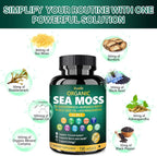 Bualle Irish Sea Moss Capsules – Organic Sea Moss, Black Seed Oil, Ashwagandha Supplements with Bladderwrack, Ginger & Burdock Root – Supports Daily Wellness, Skin & Energy – 150 Count (1 Pack)