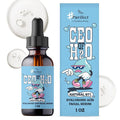 Purifect CEO of H20 Hyaluronic Acid Facial Serum - Ultra Hydrating & Moisturizing Serum for Face, Balances Skin Texture, Vitamin E for Antioxidant Support, Vegan Skincare, Cruelty Free - 1 fl oz
