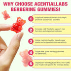 NIFEISHI Berberine Supplement, (Sugar-Free) Berberine Gummies with Ceylon Cinnamon, Milk Thistle for Metabolism, Energy, Gut Health, Vegan, Non-GMO, Gluten Free - Watermelon Flavor 60 Gummies