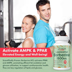 Liposomal Berberine HCL - Berberine 1500mg High Bioavailability, Berberines Supplement for Women and Men (2 Pack)