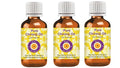 Deve Herbes Pure Chironji Oil (Buchanania latifolia) Cold Pressed (Pack of Three) 100ml X 3 (10 oz)