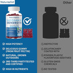 Natures Aid Glucosamine Chondroitin Gummies with MSM & Elderberry Extra Strength - Joint Support, Antioxidant Immune Support Supplement for Adults, Men & Women.(2 Pack)