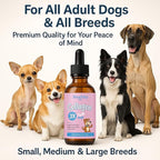 Premium Liquid Collagen for Dogs - Skin & Coat Supplement with Hyaluronic Acid & Biotin, Supports Joint Health, Mobility & Hydration for All Dogs, Bacon Flavor - 2 fl oz (3)