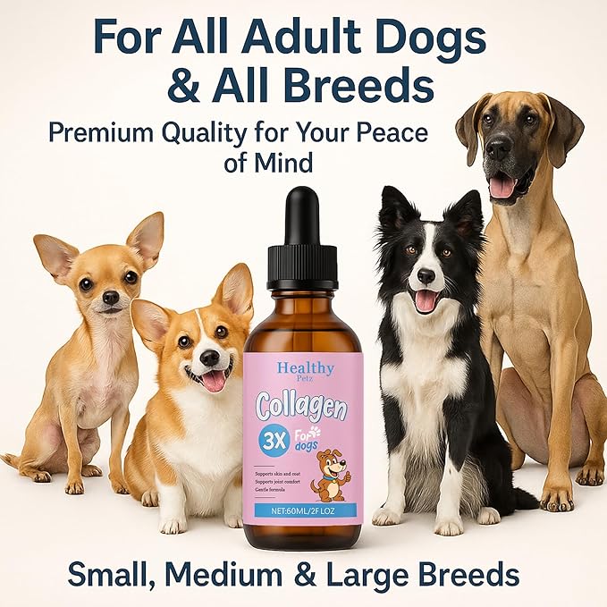 Premium Liquid Collagen for Dogs - Skin & Coat Supplement with Hyaluronic Acid & Biotin, Supports Joint Health, Mobility & Hydration for All Dogs, Bacon Flavor - 2 fl oz (1)