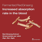 CK3000+ 6 Year Old Panax Red Ginseng Extract 100% 3000mg per Stick, High Ginsenoside (30mg), No Sugar, No Additives, Fermented Korean Red Ginseng, Energy & Immune Support, 30 Sticks