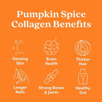 Further Food Pumpkin Spice Collagen Peptides Powder with Lion’s Mane Mushroom – 100% Grass-Fed, Hydrolyzed Type 1 & 3, 20g of Collagen per Serving, Supports Skin, Hair, Nails & Focus, 9.88 Oz
