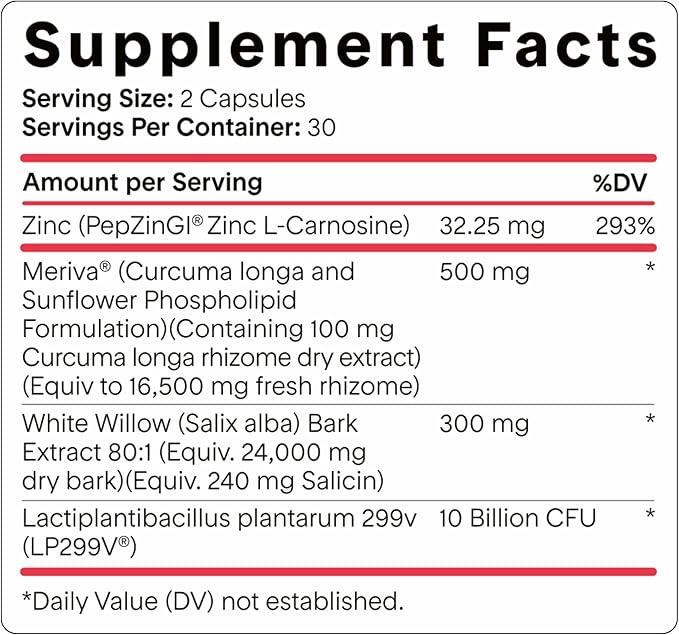 Goodness Lover Inflammation Pro, with 10 Billion CFU for Digestive Support, Curcumin, White Willow bark Extract, Zero fillers, Vegan, 30 Servings