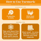 ORGANIC INDIA Turmeric Curcumin with Black Pepper - Organic Turmeric & Curcumin Supplement, Joint & Immune System Support, Whole Root - 60 Capsules