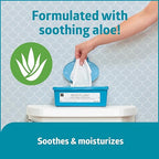Medline ReadyFlush Flushable Wipes, 540 Wipes (60 Wipes, 9 Tubs), Scented, Biodegradable Flushable Incontinence Wet Wipes for Adults with Aloe, Hypoallergenic and pH-Balanced Personal Cleansing Cloths