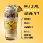 FlavCity All in One Protein Shake Powder, Pineapple Coconut - On the Go Meal Alternative + Collagen Peptides, Reishi & Cordyceps - Focus, Skin, Hair & Joint Support - 100% Grass Fed Whey, 20 Servings