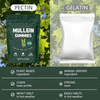 Mullein Gummies, Daily Respiratory Health Gummies,1000mg Mullein Leaf herb Extract, Pear Flavor, Lung Health & Sinus Relief (30 Day Supply)