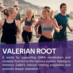 600mg GABA Sleep Aid* for Adults with 200mg Valerian Root, 100mg L-theanine, 60mg 5-HTP | Helps The Body Ease Into Sleep* & Maintain Deep Restful Sleep*, 60 Capsules, 30 Day Supply