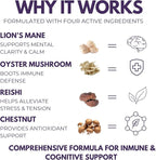 Super Stacker - 4-in-1 Mushroom Supplement Wellness Blend - Lion’s Mane, Oyster, Chestnut & Reishi - Immune, Focus & Daily Vitality - 60 Vegan Capsules