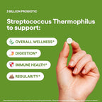 Streptococcus Thermophilus Probiotic Supplement 240 Tablets 3 Billion CFU Probiotics for Men & Women Supports Intestinal Digestive & Gut Health (240, Streptococcus Thermophilus)