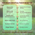 Sugar Free Neuropathy Support Gummies for Nerve – Enhanced Nerve Health, Regeneration, Cognitive Support with Vitamin B1, B6, B12, Magnesium, ALA, Turmeric, CoQ10 & More
