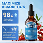 Berberine Supplement with Ceylon Cinnamon - Berberine Liquid Drops with Turmeric Curcumin, Ceylon Cinnamon, Bitter Melon, Berberine Phytosome for Digestion System, Immune Health Support -Vegetarian